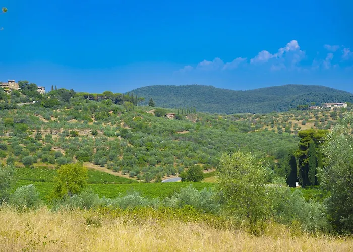 My Exclusive Italy - Chianti With Pool Near The Vineyard